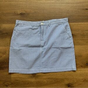 Ralph Lauren Sport Blue and White Striped Skirt